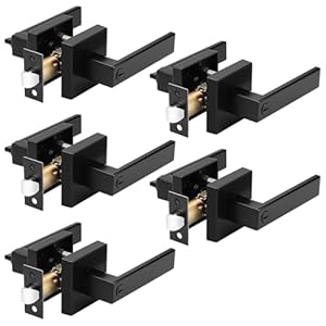 Probrico HMBKBK-DL01 Türknöpfe 5er-Set