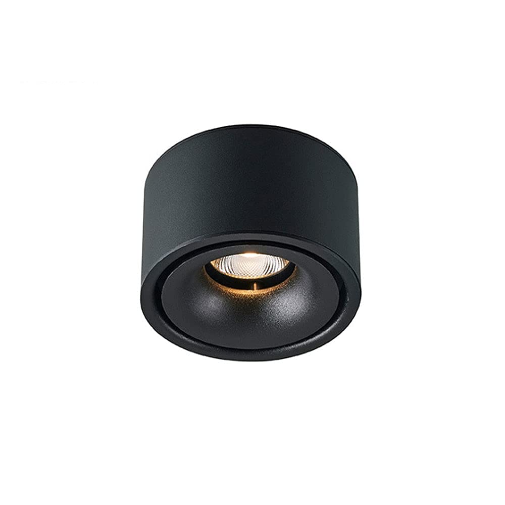 Luminaire de plafond moderne pour sublimer vos galeries d'images et expositions de maison
