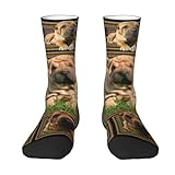 Un regalo ideal: No tienes que preocuparte por no saber qué regalar, estos elegantes calcetines gruesos por encima de la pantorrilla son una excelente opción, especialmente para quienes temen al frío. Comodidad diaria, gruesos y cómodos, son la mejor opción para regalar en otoño e invierno.