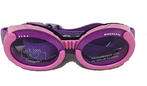 Doggles ILS 2 Lila-Blumenrahmen mit violetten Gläsern Cover