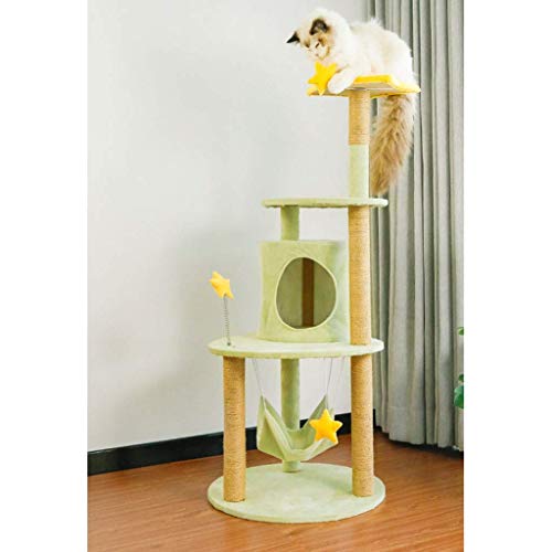 Arbre à chat compact pour stimuler le jeu et protéger vos canapés