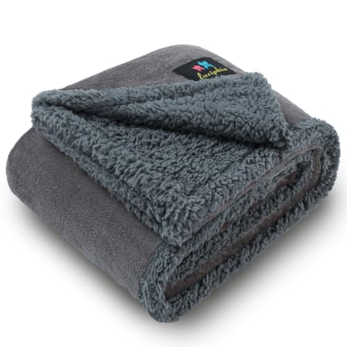 luciphia wasserdichte Hundedecke, Hunde Decke für Hund Katzen Groß Waschbar, Haustierdecke Wasserfeste Flauschig Sherpa Fleece, Wasserdicht Decke für Sofa Couch Bett, Lichtgrau S (71 * 102cm)