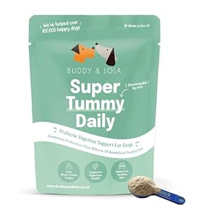 Buddy and Lola Probiotics for Dogs – High CFU Count, Plant-Based Dog Probiotics for Gut Health – Dog Probiotic Powder with Prebiotics for Skin Health – Essential Dog Soil Based Probiotic Supplement