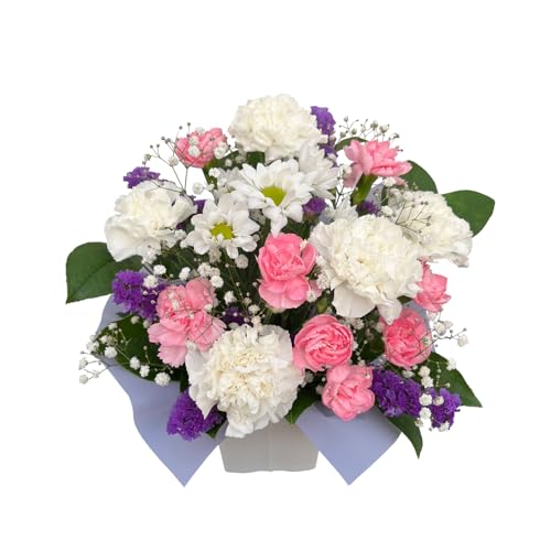 Ԃ̃Mtg     Ȃ p  ފ ~   ؂₩