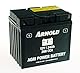ARNOLD AGM Starterbatterie AZ104, 12V 24Ah, 260 CCA für Rasentraktoren 5032-U3-0004, +Pol links