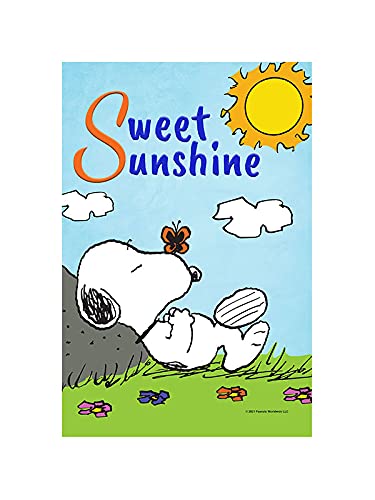 Amazon.com : Flagology.com, PEANUTS®, PEANUTS® Sweet
