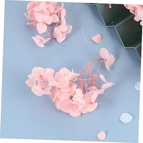 Pétalos de Hortensia Secos Naturales Rosa para Decoración DIY miniatura 2
