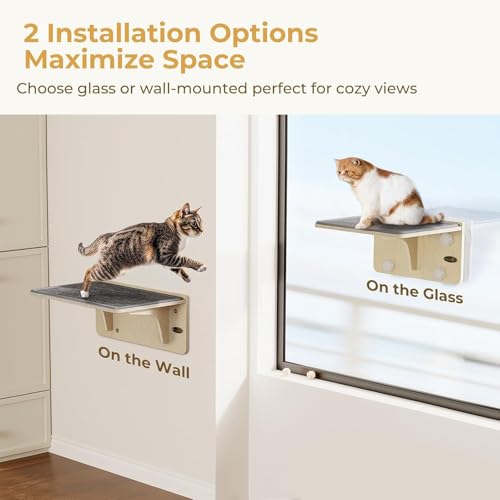 Percha para gatos para ventana con estante de madera resistente 3