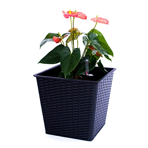 Elegant Einrichten Blumenkübel quadratisch, konisch Polyrattan 34x34x31cm schwarz.