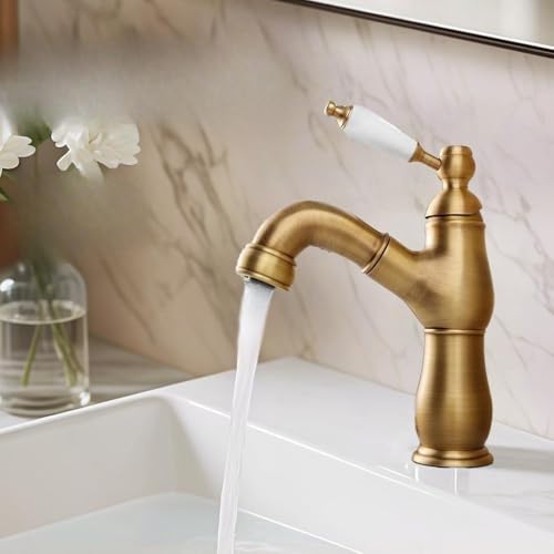 uJiaseminevʏ ֌ V[t Lk  1 VOo[  ␅ ^J ʑ ֌ AeB[N̖͕ Ⴂ (D)