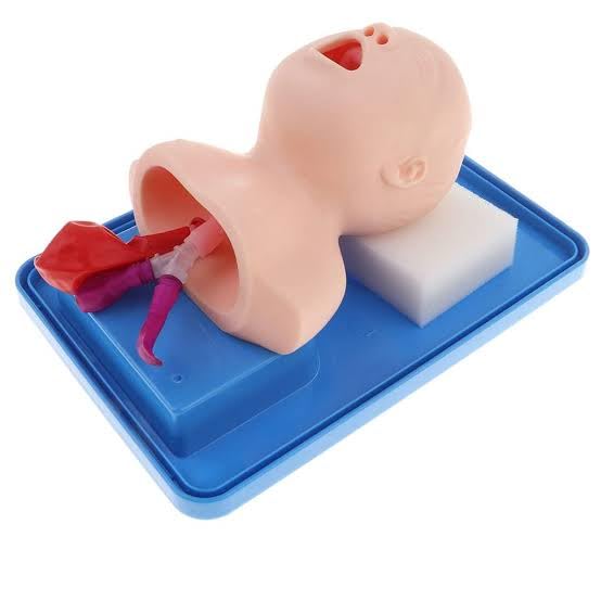 ISKO® Neonatal Intubation Head Model made with silicone (B0C9JQMTMR) Amazon Price History, Amazon Price Tracker