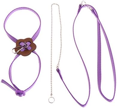 Chuiouy Parrot Bird Harness Leash,Adjustable Train Rope Belt,OutdoorTraining Rope Anti-Bite Flying Band