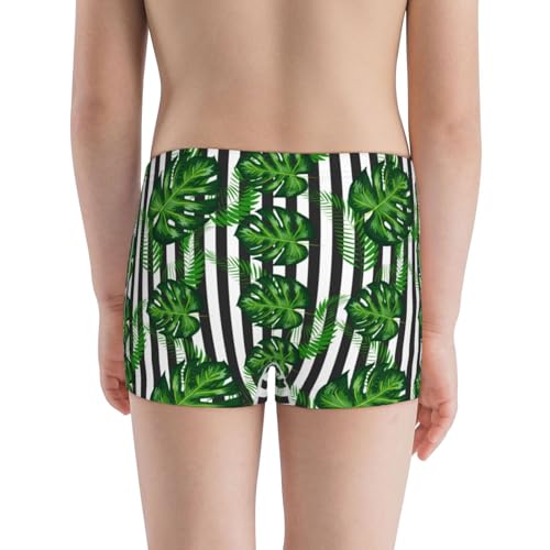 Boys' Cotton Boxer Brief Soft Underwear-Palm Greenery3