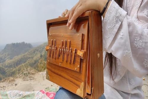 Shruti-Box mit 13 Tönen, gestimmt, 432 Hertz gepolsterte Tragetasche, hergestellt aus Teakholz, 30,5 cm