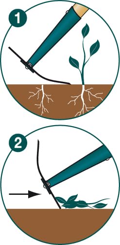 Binette Naturovert Leborgne outil de désherbage avec manche extra-long 150cm