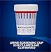 2 Pack - DrugExam 12 Panel Drug Test Cup Kit with Temperature Strip-Testing Marijuana THC50/AMP500/BAR300/BZO300/COC150/MDMA500/MET500/MTD300/OPI300/OXY100/PCP25/TCA1000.Urine Test. (2)