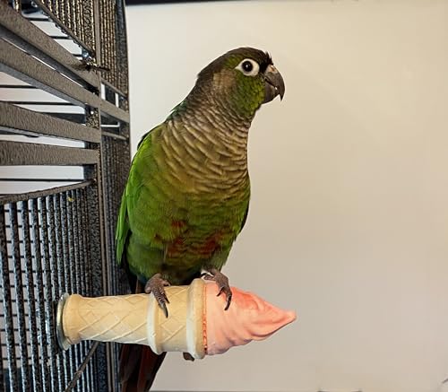 Image of Polly's Ice Cream Perch with Cinnamon for Parakeets, Cockatiels, Amazons, Greys, Macaws, Parrots, and All Other Types of Birds (Small)
