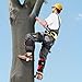 VEVOR Tree Climbing Spikes Set, Height-Adjustable Tree Climbing Gear with Straps & Spike Protectors, 350 lbs Load Capacity, Durable Aluminum Climb Spurs Arborist Equipment for Fruit Picking Hunting