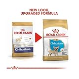 Royal Canin Chihuahua Puppy | 3er Pack | 3 x 500 g | Trockenfutter für Chihuahua Welpen bis zum 10. Monat | Zur Unterstützung der körpereigenen Abwehrkräfte | Hohe Akzeptanz