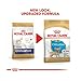 Royal Canin Chihuahua Puppy | 3er Pack | 3 x 500 g | Trockenfutter für Chihuahua Welpen bis zum 10. Monat | Zur Unterstützung der körpereigenen Abwehrkräfte | Hohe Akzeptanz