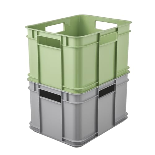 keeeper Transportbox mit Tragegriffen, Euro-Box M, 16 l, 35 x 27 x 22 cm, Bruno Eco Line, Grau (Eco Stone Grey)