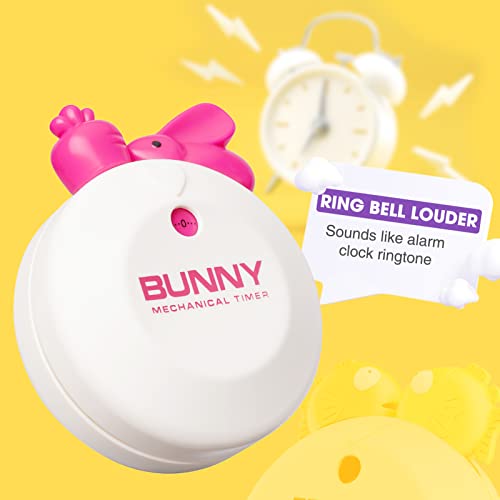 60-Minute Visual Timer, Small Size Countdown Clock For Kids And Adults, Magnetic Timer Management For Kitchen Classroom-Fish #TOP3