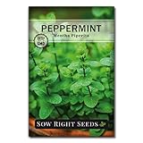 Sow Right Seeds - Peppermint Seeds for Planting - Non-GMO Heirloom Packet with Instructions for Easy Planting and Growing an Herbal Tea Garden - Indoors or Outdoor - Medicinal & Culinary (1)