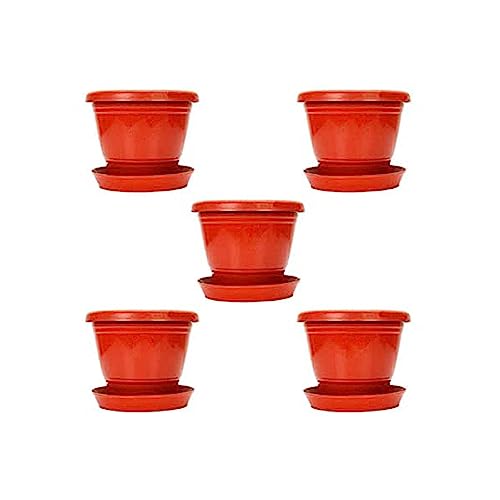 Kraft Seeds Gamla Pots With Bottom Plates (5 Pcs, 8 Inch, Red) | Garden Planters With Drain Holes for Home Plants | Outdoor Balcony Flower Pots | Drip Tray Pots | Plastic Pots With Drainage Holes Kraft Seeds Gamla Pots With Bottom Plates (5 Pcs, 8 Inch, Red) | Garden Planters With Drain Holes for Home Plants | Outdoor Balcony Flower Pots | Drip Tray Pots | Plastic Pots With Drainage Holes