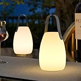 uuffoo 2 Pack Portable Outdoor Table Lamp - Dimmable Rechargeable Night Lights w/ Remote and 7 RGB Colors, IP44 Water-Resistant Hanging Lantern for Patio, Tent, Bedroom, Garden, Emergency