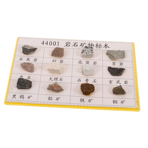 Mobestech 12 Pcs Rock Specimen Set Rock Specimen for Geology Classroom Rock Specimen for Collection Rock Collection Rock Specimen for Laboratory Rock Specimen for Collecting Mineral Rock