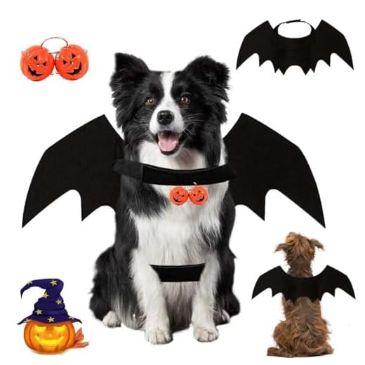 Disfraz De Perro De Murciélago De Halloween Alas Murcielago Perro con Campanas De Calabaza Alas Murcielago Gato Disfraz Perr o Mur ciélago Apto para Cachorros y Gatitos Halloween Cosplay.