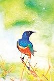 Notes: Colorful Superb Starling Bird In Tanzania Africa - Blank College-Ruled Lined Notebook (Student Animal Journals for Writing Journaling & Note-taking, Band 194)
