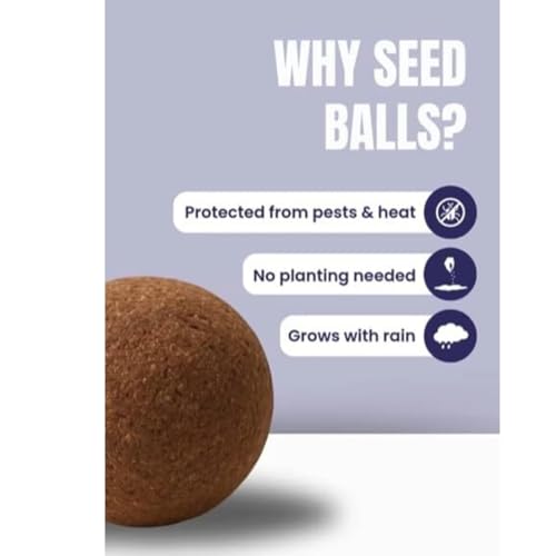 Image of Seed Balls for Garden Planting | Natural Clay Coated Easy Sow Seedling Starter | Eco‑Friendly Gardening & Reforestation Tool (Pack of 1)