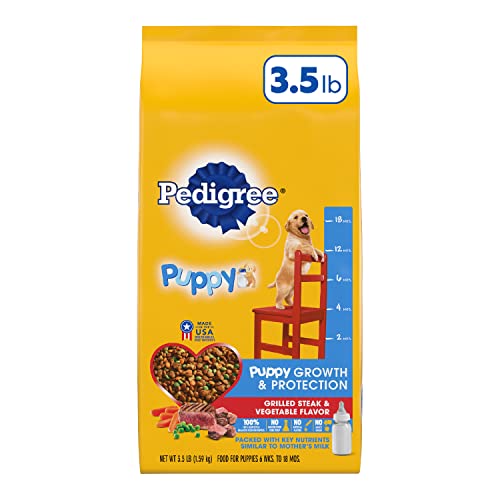 Top 10 Best Tasting Dry Puppy Food Reviews & Buying Guide Katynel