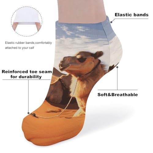 Camels Rest Desert Socks Low Cut Ankle Sock Short Socks Casual Socks Running Hiking Socks 5 Pairs Unisex3