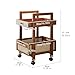 Bothyi 2 Tier Rolling Utility Cart Sofa Side Storage Cart Organizer with Wheels Movable Tea Table Bedside Table Trolley, 30cmx30cmx57.2cm