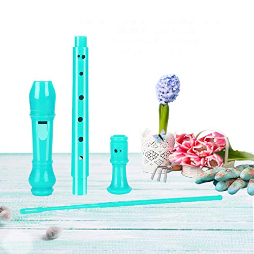 Descant Soprano Recorder Music Recorder Instrument for Kids Flute Kids Recorder with Cleaning Rod + Case Bag…