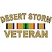 Desert Storm Veteran With Ribbon Clear Decal
