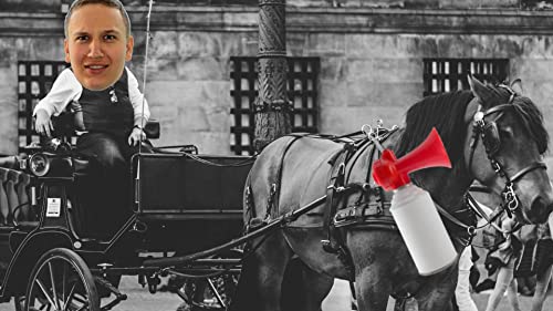 How to Stop Screwing things up (The horse before cart episode)