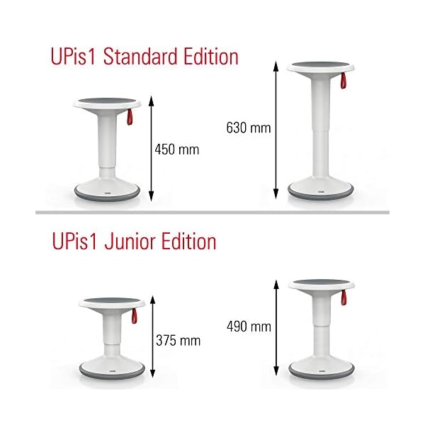 Interstuhl UPis1 - Ergonomic Swivel Stool - Premium Stool Height Adjustable and Rotatable - Made in Germany - Standing Stool/Swivel Stool - Image 5