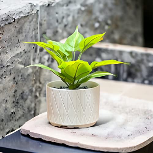 Kurrajong-Farmhouse-Fake-pothos-Plant-for-Office-Decor-Faux-Ivy-Desk-Plant-Artificial-pothos-Plant-with-White-Ceramic-Pot-Artificial-Plant-Indoor-Fake-Plant-for-Desk-Decor Kurrajong Farmhouse Fake pothos Plant for Office Decor Faux Ivy Desk Plant Artificial pothos Plant with White Ceramic Pot Artificial Plant Indoor Fake Plant for Desk Decor