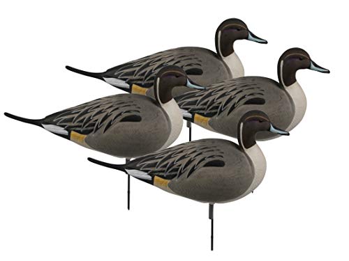 Avery Hunting Gear Over-Size Pintail FB-Active Pack (4 Pack)