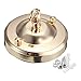 JISADER Ceiling Rosette Hook Plate Ceiling Rosette with Hook High Power Lamp Base Hook Pendant Light Roof Suction Disc Ceiling Hook Plate, gold