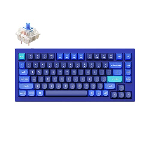 Image of Keychron Q1 RGB Wired Custom Mechanical Keyboard, 75% Layout QMK /VIA Programmable Macro with Hot-swappable Gateron G Pro Blue Switch Double Gasket Compatible with Mac Windows Linux (Blue) -Version 2