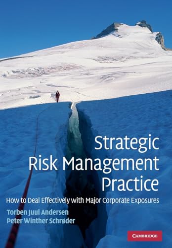 Strategic Risk Management Practice view 2
