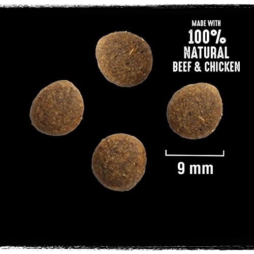 Crave Adult Trockenfutter mit Rind & Huhn, 7kg (1 Beutel) – Premium Katzenfutter trocken mit hohem Proteingehalt und ohne Getreide – Hergestellt mit 100 Prozent natürlichem Rind & Huhn