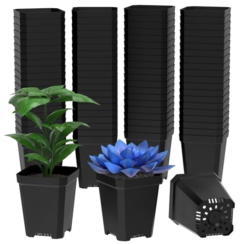 Doreenstar 100 Pièces Pot Plastique Plante 5.5 CM, Mini Pots de Fleurs avec Trous de Drainage, Petite Jardinière en Plastique, Pot de Repiquage pour Plantes, Succulentes, Fleurs, Légumes