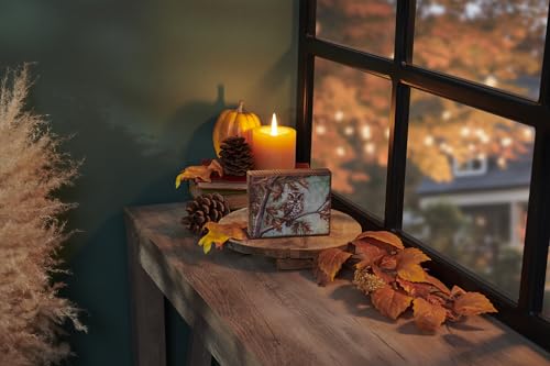 Primitives-by-Kathy-Fall-Owl-Home-Decor-Block-Sign Primitives by Kathy Fall Owl Home Decor Block Sign