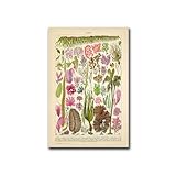 Jaesxxco Leinwandkunst-Poster, Vintage-Stil, Seetang, 