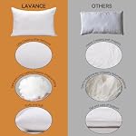 LAVANCE 2 Pack Luxury Hotel Fluffy Queen Sleeping Pillows | Brand New 3D Hollow Fiber Filling Brings Cloud-like Soft Comfort, Honeycomb Embossed Cover, Queen Size 20"x30"